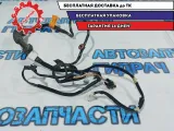 Проводка задней левой двери Kia Rio 3 91650-4Y050. Дефект.