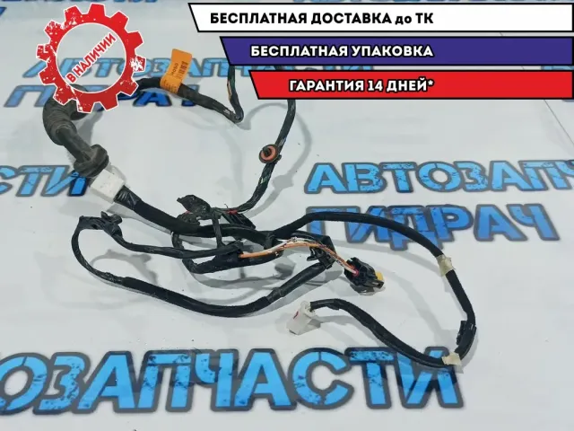 Проводка задней левой двери Kia Rio 3 91650-4Y050. Дефект.