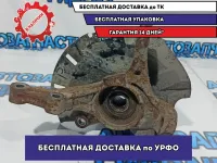 Кулак поворотный передний правый Kia Rio 3 51716-0U001.