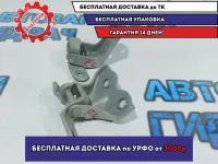 Петли двери передней левой Kia Rio 3 .