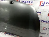 Капот Kia Rio 4 (FB) 66400-H0000