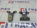 Петли двери задней правой Kia Rio 4 (FB)