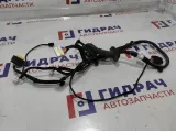 Проводка двери передняя левая Kia Rio 4 рестайлинг 91605-H0090.