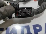 Проводка двери задней правой Kia Rio 4 рестайлинг 91665-H0130.