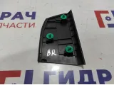 Накладка двери задней правой Kia Rio 4 рестайлинг 83921-H0000. Внутренний уголок.