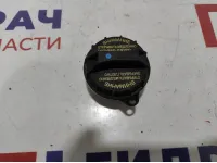 Крышка топливного бака Kia Rio 4 рестайлинг 31010-4L000.