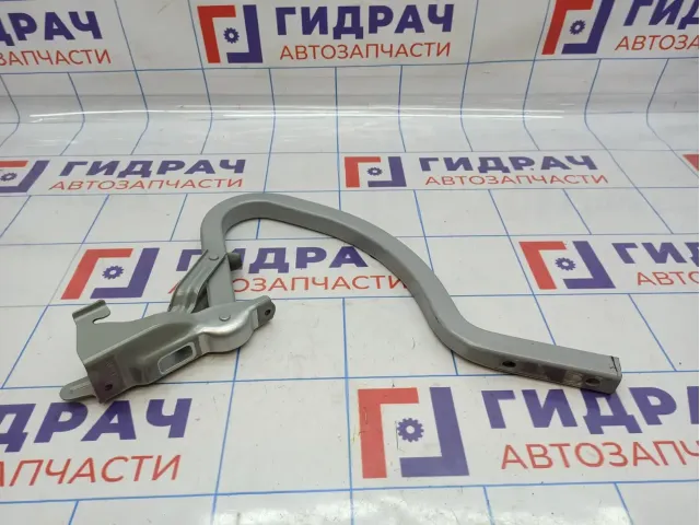 Петля крышки багажника левая Kia Rio 4 рестайлинг 79210H0000.