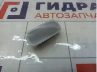 Плафон салонный (багажника) Kia Seltos 92620D3000