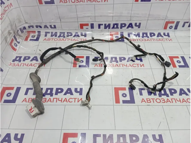 Проводка передней правой двери Kia Sorento (BL) 918103E010