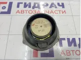 Динамик передний Kia Sorento (BL) 963203E000