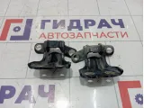 Петли двери задней правой Kia Sorento (BL)