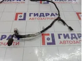 Проводка двери багажника Kia Sorento (BL) 919003E011
