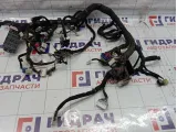 Проводка салонная Kia Sorento (BL) 913053E010