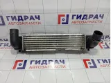 Интеркулер Kia Sorento (BL) 281904A160