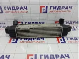 Интеркулер Kia Sorento (BL) 281904A160