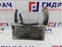 Радиатор масляный Kia Sorento (BL) 254603E000