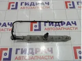 Рейка топливная (рампа) Kia Sorento (BL) 314004A000