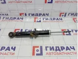 Амортизатор передний правый Kia Sorento (BL) 546403E032