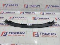 Накладка замка капота Kia Sorento (BL) 865803E000