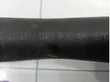 Патрубок радиатора Kia Sorento (BL) 254123E000