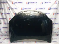 Капот Kia Sorento (BL) 664003E000