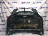 Капот Kia Sorento (BL) 664003E000