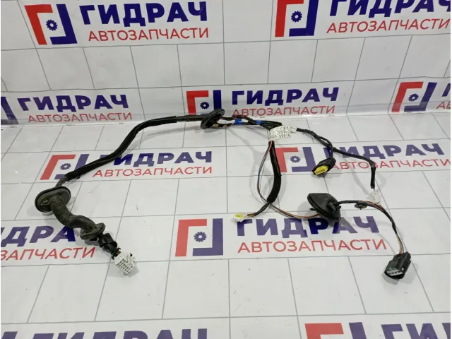Проводка двери задней левой Kia Sorento (XM) 91655-2P153