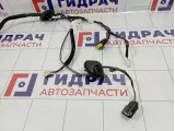 Проводка двери задней левой Kia Sorento (XM) 91655-2P153
