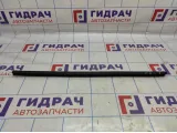 Уплотнитель стекла переднего правого Kia Soul 2 (PS) 82241-B2000. Внутренняя.