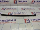 Уплотнитель стекла заднего левого Kia Soul 2 (PS) 83231-B2000. Внутренняя.