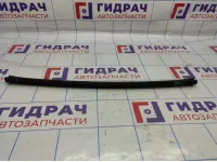 Уплотнитель стекла заднего левого Kia Soul 2 (PS) 83231-B2000. Внутренняя.