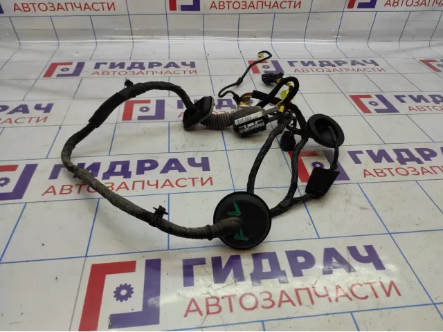 Проводка двери передней левой Kia Soul 2 (PS) 91600-B2431.