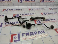 Проводка двери задней левой Kia Soul 2 (PS) 91650-B2061.