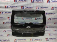 Дверь багажника Kia Soul 2 (PS) 73700-B2000. Дефект.Коррозия.