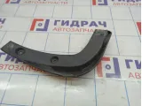 Брызговик задний правый Kia Soul 2 (PS) 86842-B2000.