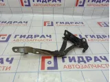Петля капота левая Kia Soul 2 (PS) 79110-B2000.