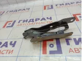 Петля капота левая Kia Soul 2 (PS) 79110-B2000.