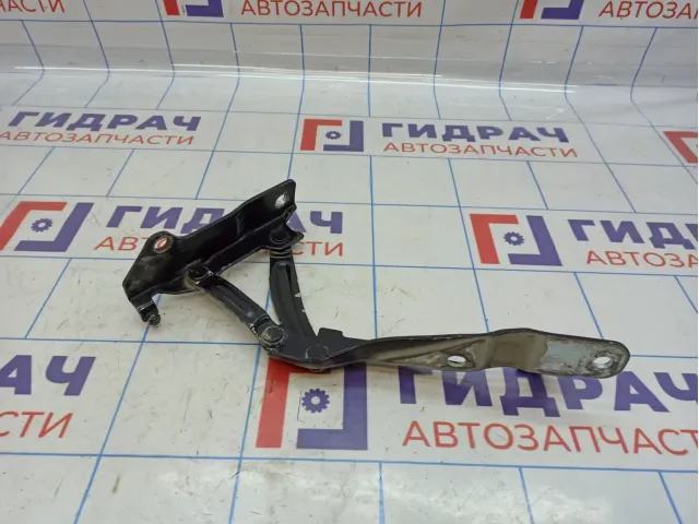 Петля капота правая Kia Soul 2 (PS) 79120B2000.