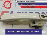 Ручка двери передней наружная левая Kia Soul 2 (PS) 82651B2010.