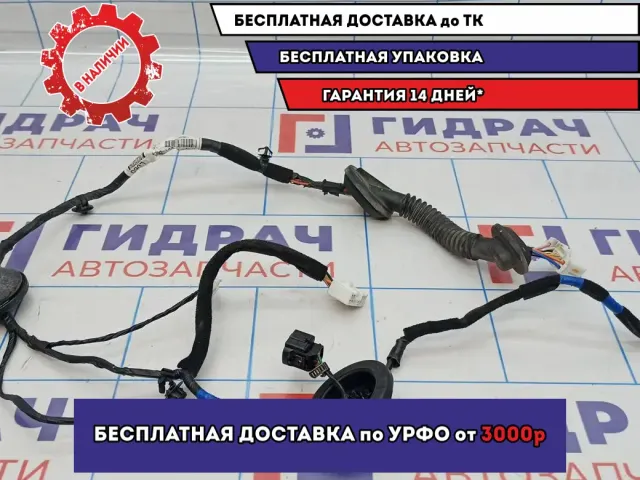 Проводка двери задней левой Kia Soul 2 (PS) 91650-B2061.