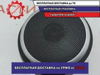 Динамик в торпедо левый Kia Soul 2 (PS) .