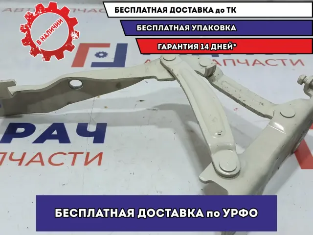 Петля капота левая Kia Soul 2 (PS) 79110B2000.