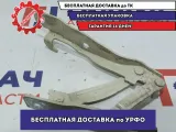 Петля капота правая Kia Soul 2 (PS) 79120B2000.