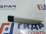 Молдинг крыши левый Kia Soul 2 (PS) 87234b2000. Накладка.