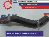 Патрубок радиатора Kia Soul 2 (PS) .