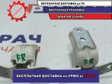 Петли двери передней правой Kia Soul 2 (PS) . Комплект.