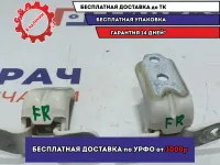 Петли двери передней правой Kia Soul 2 (PS) . Комплект.