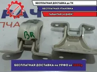 Петли двери задней правой Kia Soul 2 (PS) . Комплект.
