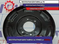Щит опорный задний левый Kia Soul 2 (PS) 58390-B2000.