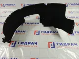 Локер (Подкрылок) передний правый Kia Soul 868162K500